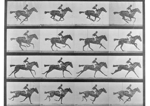 Eadweard Muybridge: 'Annie G galloping', c. 1887