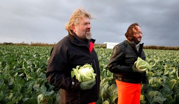 White, knobbly, rotund and past their sell-by date – and those cauliflowers don’t look too healthy either