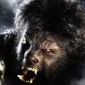 Return of the hairy cornflake: somewhere in there is Benicio Del Toro, star of The Wolfman