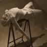 Christine Borland: 'Cast From Nature'