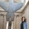 Fiona Banner and her 'nose-diving' Sea Harrier