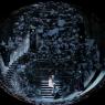 In the thicket of it: Wagner's lovers (Clifton Forbis and Ann Petersen) caught in flagrante by King Marke (Christof Fischesser)