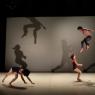 Brisbane acrobats Circa: 'These lunatics know exactly what they are doing'