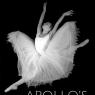 'Apollo's Angels' by Jennifer Homans: 'A book that every dance lover should read'