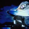 Elegant eloquence: Tai Wei Foo dances up an emotional storm