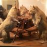 'Squirrels who smoke cigars, squabble and get up to mischief are among the many, some might say macabre, delights of Walter Potter’s world'