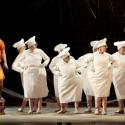 The Vixen and the lard-arse Hens: 'love and loss and the joys of being alive'