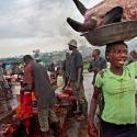 Heavy load in Lagos: a woman carries a whole cow head away from the market