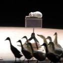 Some of the stars of 'Le Cirque Invisible': locking down children and adults in two hours of rapture 