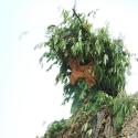 The Green Man himself at the 2009 festival