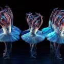 ENB's 'Swan Lake' corps: Photographed by their leading ballerina Daria Klimentová
