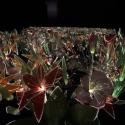 Joana Vasconcelos: 'Garden of Eden': 'As the flowers quiver, you can hear their motors faintly clicking, like a field of crickets' 