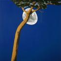 Modern history painting: Dexter Dalwood's 'The Death of David Kelly' 