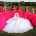 Bridget the fairy-tale bride, surrounded by her retinue of bridesmaids