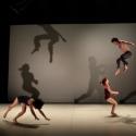 Brisbane acrobats Circa: 'These lunatics know exactly what they are doing'