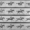 Eadweard Muybridge: 'Annie G galloping', c. 1887