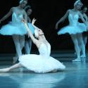 Uliana Lopatkina in the Mariinsky's 'Swan Lake'